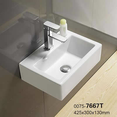 0075-7667T