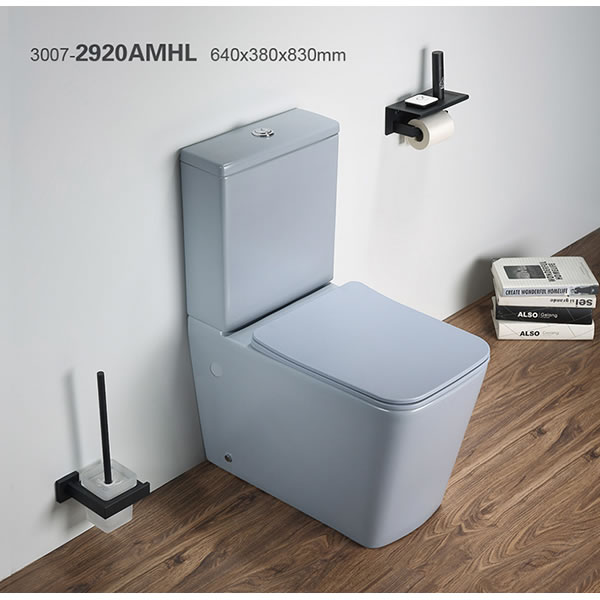 3007-2920AMHL
