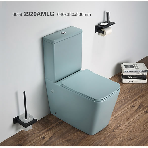3009-2920AMLG