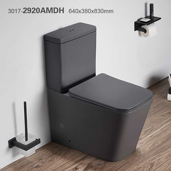 3017-2920AMDH