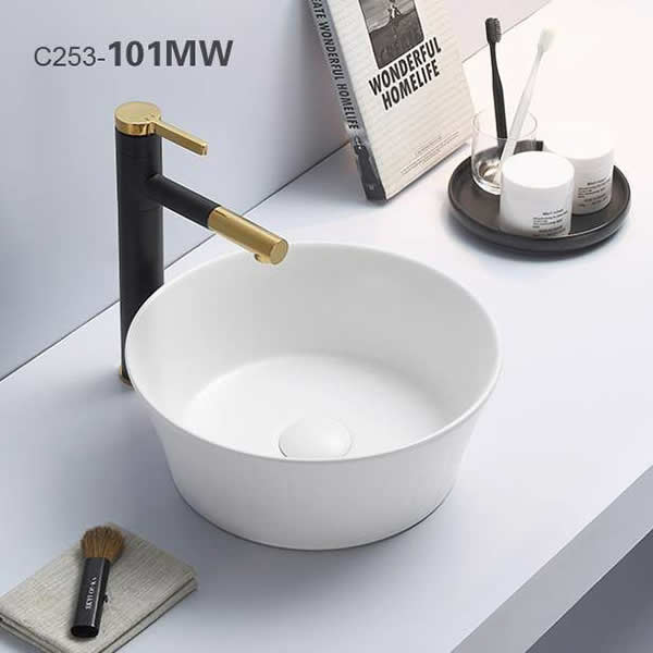 C253-101MW