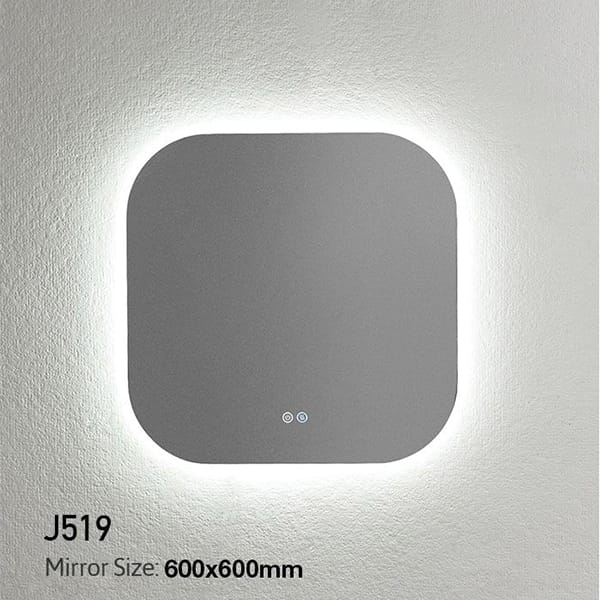 J519