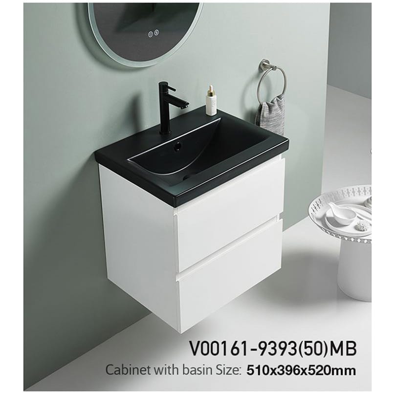 V00161-9393(50)MB